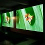 Полезная информация для покупателя LED экрана